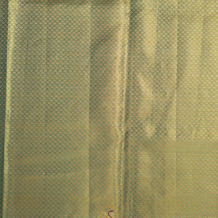Pure Kanchipuram Silk-VSKP301
