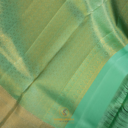 Pure Kanchipuram Silk-VSKP170