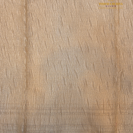 Jamdhani Crushed-VSJC9 Beige