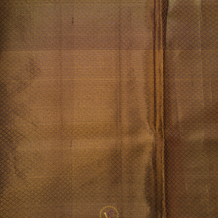 Pure Kanchipuram Silk-VSKP256