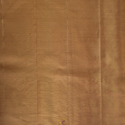 Pure Kanchipuram Silk-VSKP293