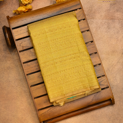 Pure kanchipuram Silk-VSKP432