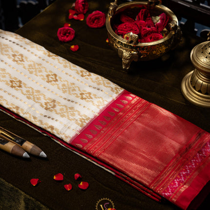 Pure Ikkat Silk-VSPIS01