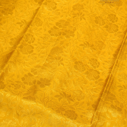 Pure kanchipuram Silk-VSKP419