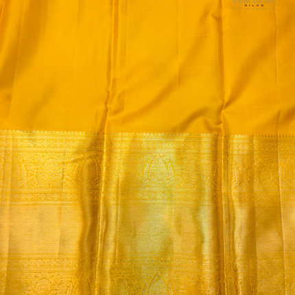 Pure kanchipuram Silk-VSKP419