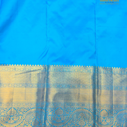 Pure kanchipuram Silk-VSKP420