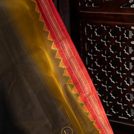 Pure Ikkat Silk-VSPIS03