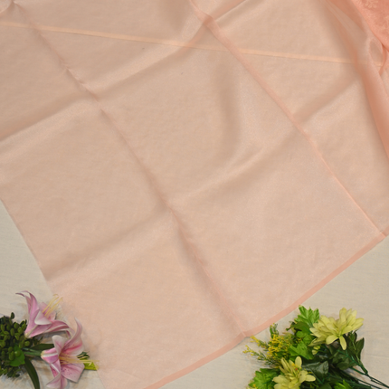 Glass Organza Sarees-VSOF011