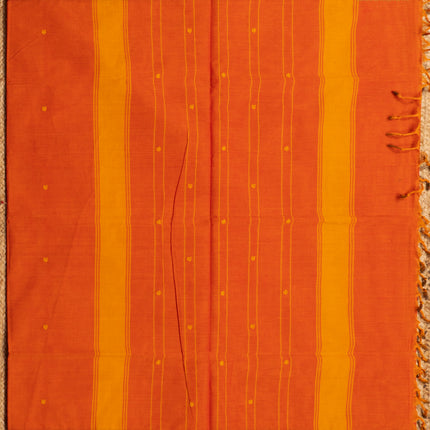 Kanchi Cotton-03